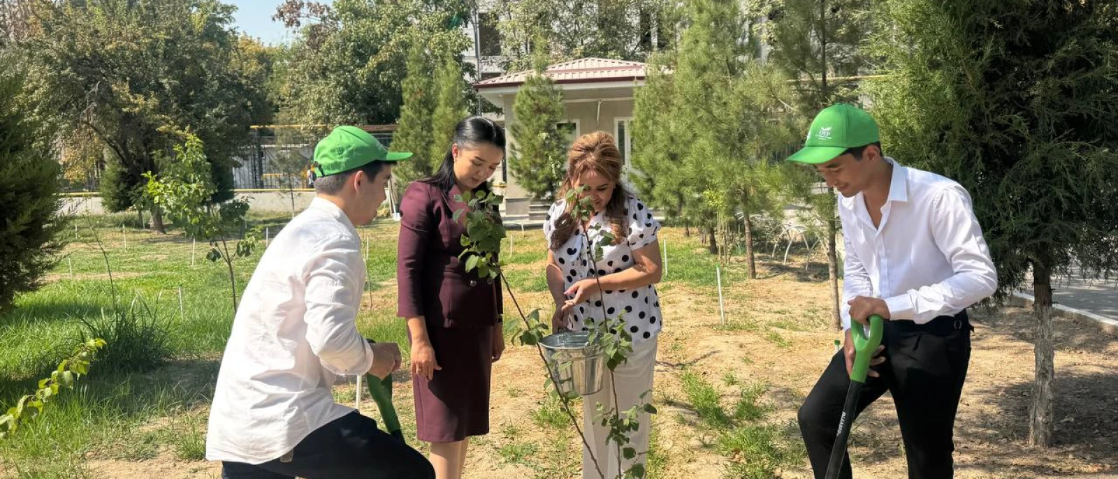 "Yashil kelajak sari"